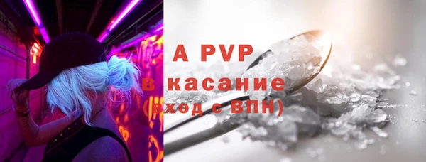 бошки Гусев