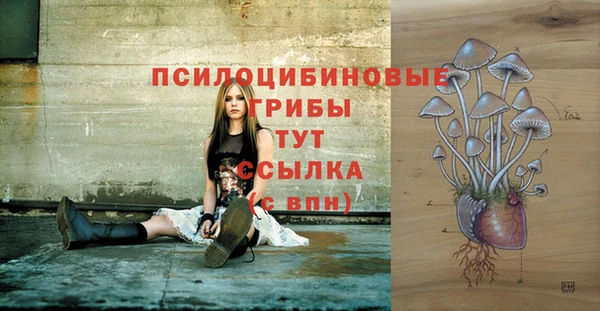 гашишное масло Гусиноозёрск
