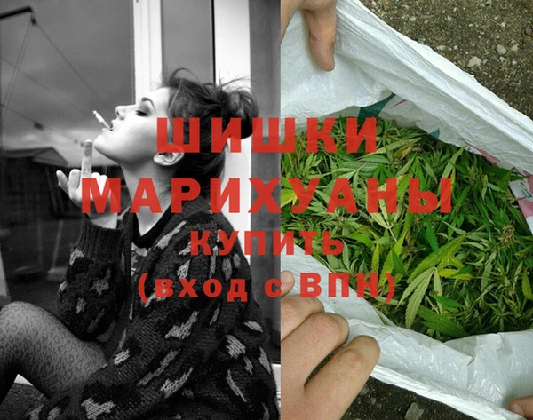 бошки Гусев