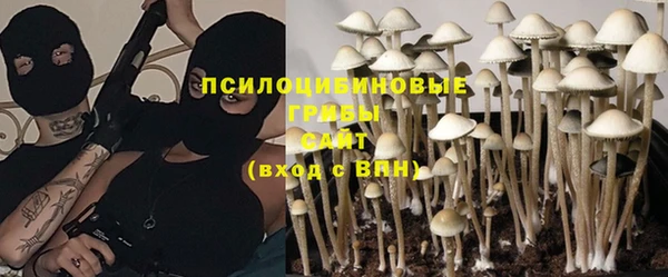 бошки Гусев