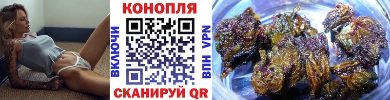 Бошки марихуана сатива Ефремов